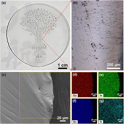 Native Surface Oxides Featured Liquid Metals for Printable Self-Powered Photoelectrochemical Device